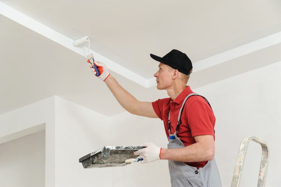 Ceiling Painting by Artistic Expressions Painting
