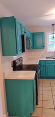 Cabinet Painting in Bloomingdale, TN (1)