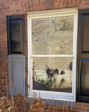 Painting Services in Randolph, NJ (1)